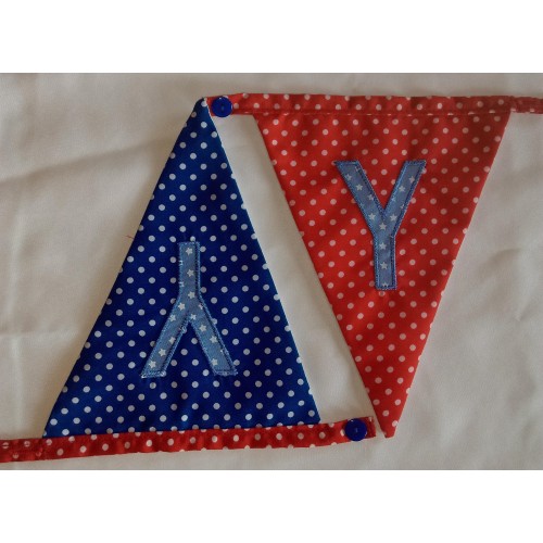 Spotted bunting Y